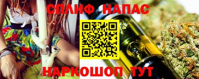 молекула духа Будённовск